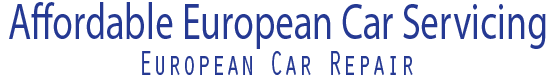EFI Diagnostics European Car Repairs